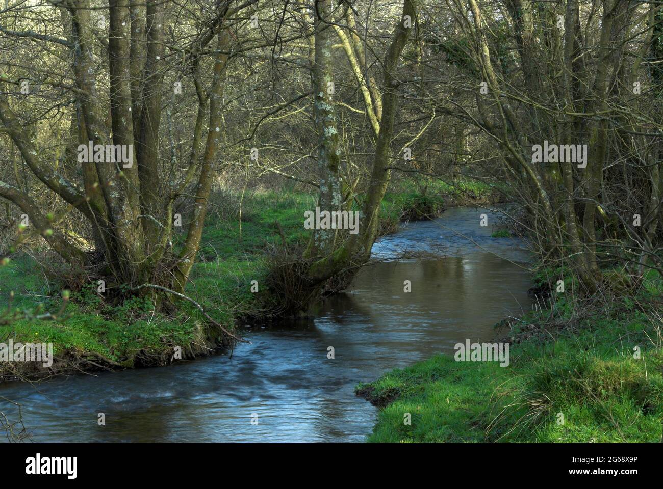 River Hooke, Meadows nature reserve, west Dorset, UK Stock