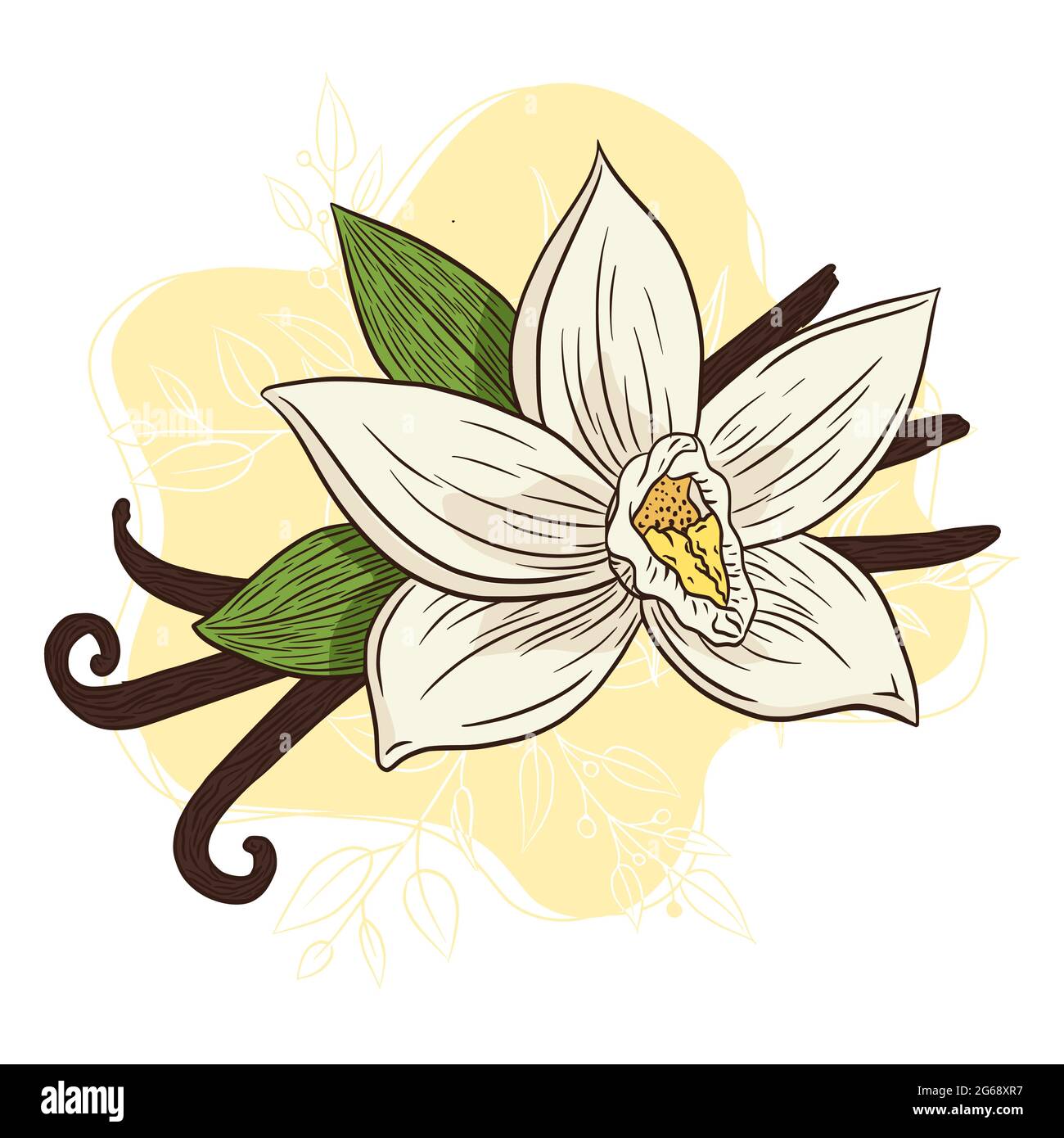 Trải nghiệm hương thơm Vanilla Blossom Illustration thơm ngon và tươi mới để cảm nhận sự thanh tịnh đến từ thiên nhiên. Với hình ảnh tươi trẻ và đầy màu sắc, bạn sẽ được đưa đến một thế giới của sự thư giãn và bình yên. 