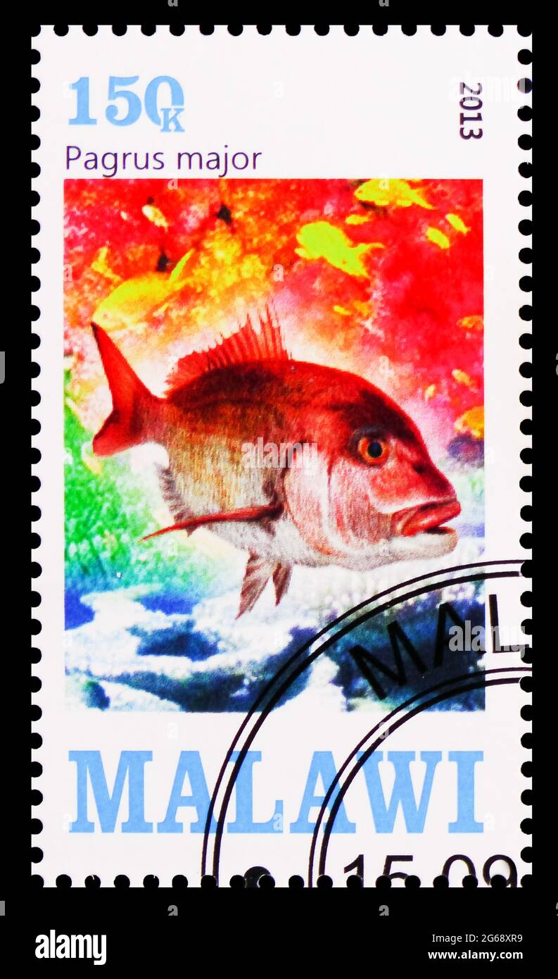 MOSCOW, RUSSIA - MARCH 28, 2020: Postage stamp printed in Malawi shows Pagrus major, Sea fishes serie, circa 2013 Stock Photo