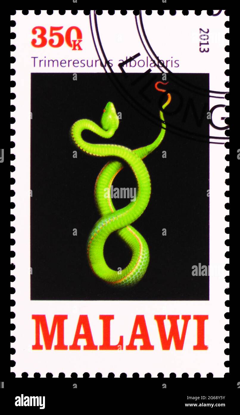 MOSCOW, RUSSIA - MARCH 28, 2020: Postage stamp printed in Malawi shows Trimeresurus albolabris, Snakes serie, circa 2013 Stock Photo