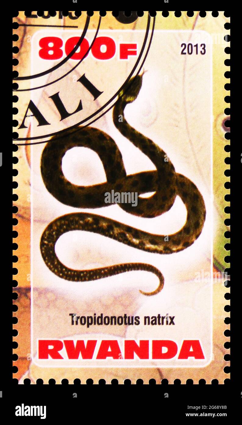MOSCOW, RUSSIA - MARCH 28, 2020: Postage stamp printed in Rwanda shows Tropidonotus natrix, Snakes serie, circa 2013 Stock Photo