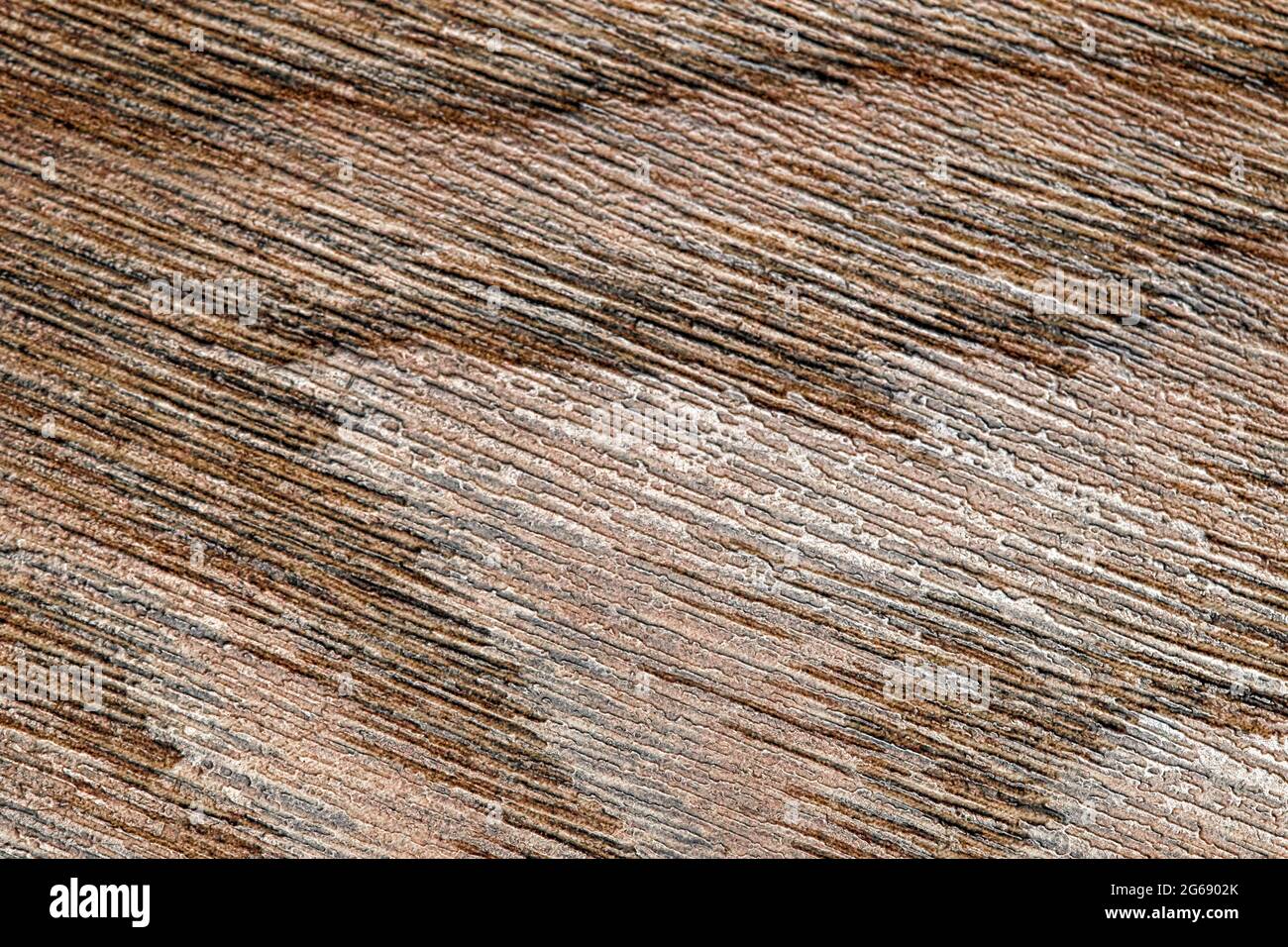 Texture of brown beige wooden floor with a fine grain Stock Photo