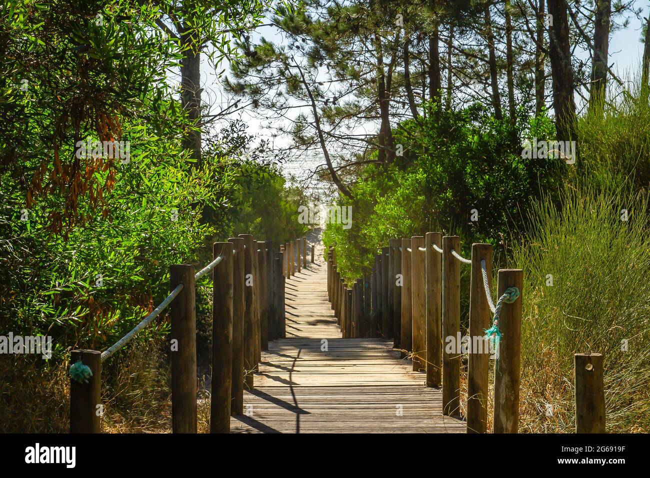 Wooden footbridge leading to ‘Praia do Camarido’ across the coastal dunes in Viana do Castelo district, Portugal Stock Photo