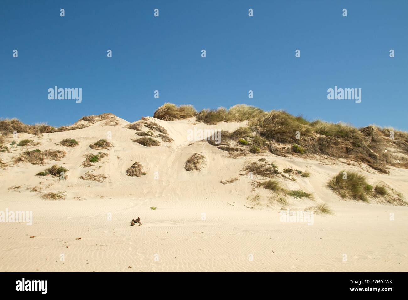 Sand dunes coastal hi-res stock photography and images - Alamy