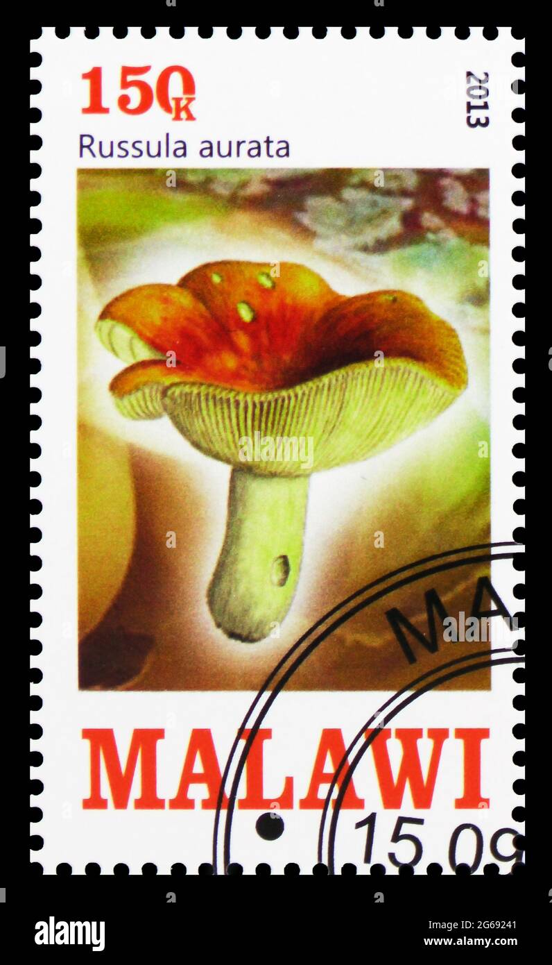 MOSCOW, RUSSIA - MARCH 28, 2020: Postage stamp printed in Malawi shows Russula aurata, Mushrooms serie, circa 2013 Stock Photo