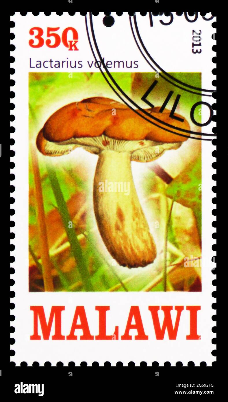 MOSCOW, RUSSIA - MARCH 28, 2020: Postage stamp printed in Malawi shows Lactarius volemus, Mushrooms serie, circa 2013 Stock Photo