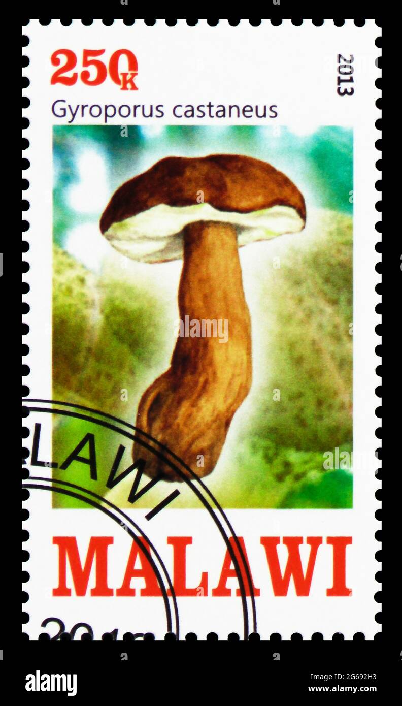 MOSCOW, RUSSIA - MARCH 28, 2020: Postage stamp printed in Malawi shows Gyroporus castaneus, Mushrooms serie, circa 2013 Stock Photo