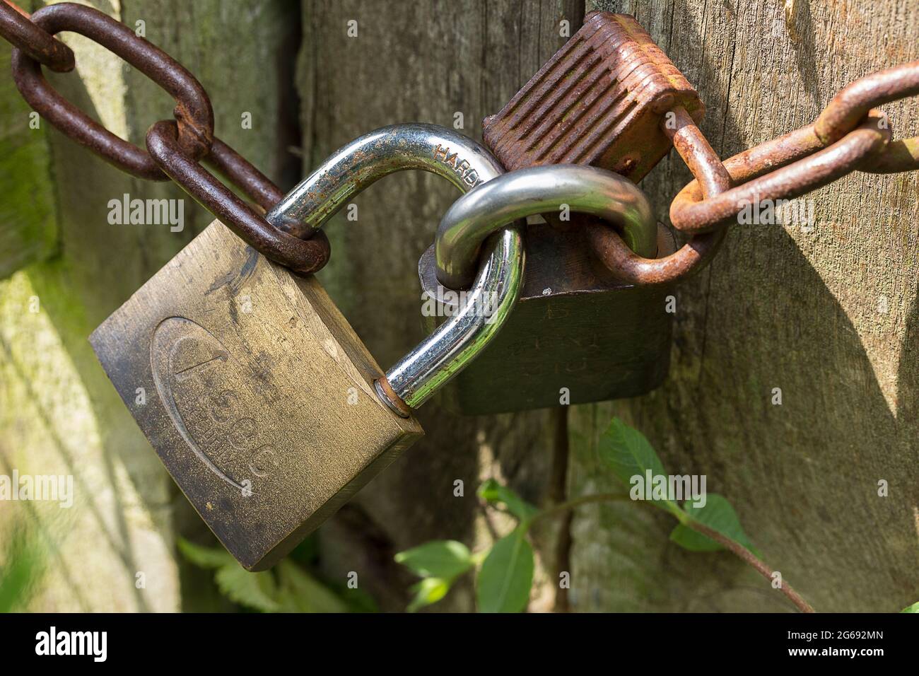 Farm gate padlock and chain hi-res stock photography and images - Alamy