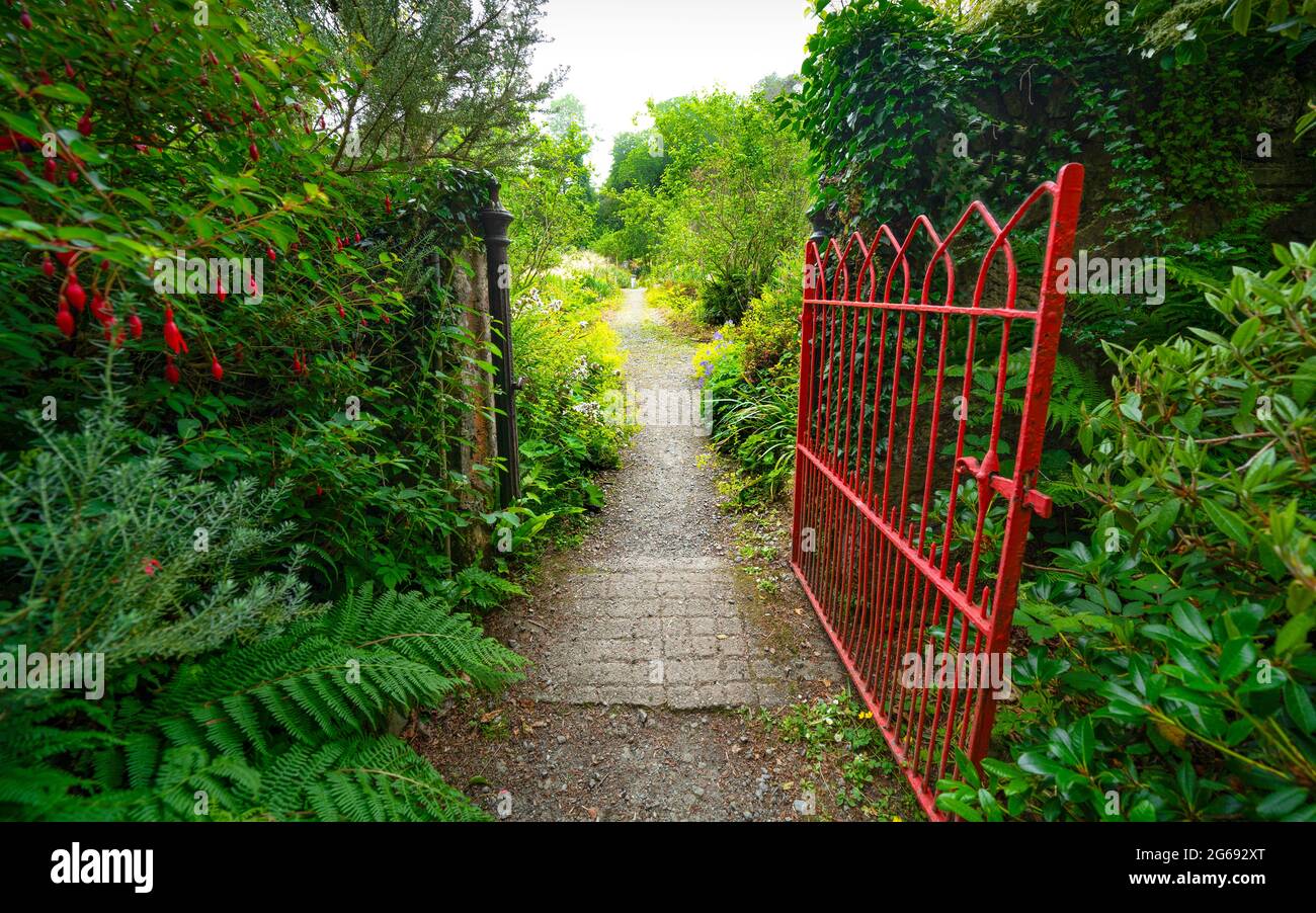 Achamore garden gigha hires stock photography and images Alamy