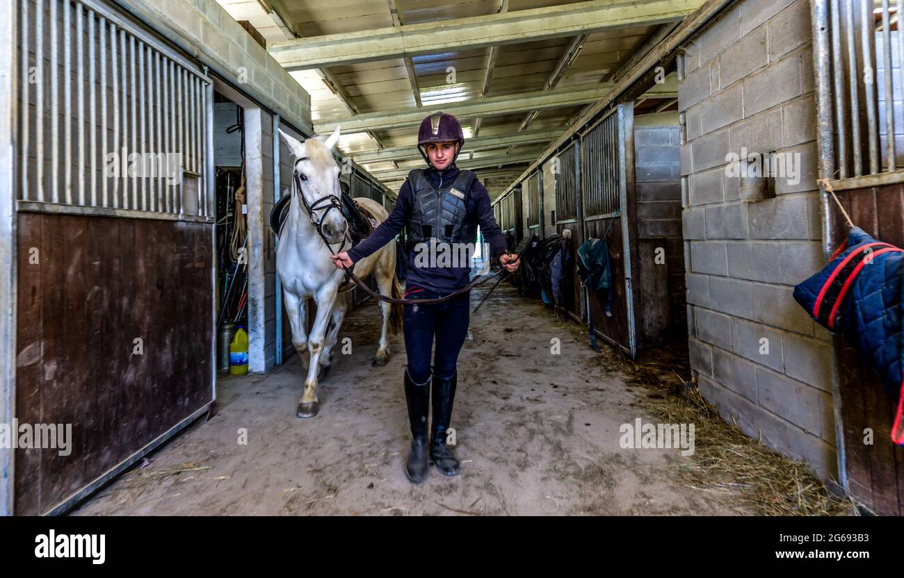 young rider preparing horse for riding in stable Stock Photo - Alamy