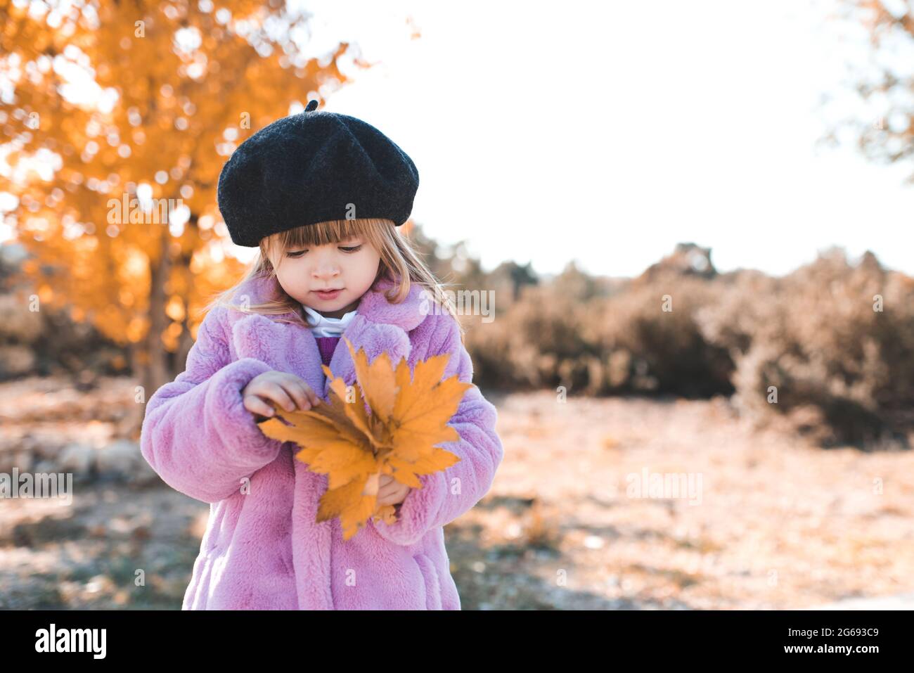 Child girl 3-4 year old wear black beret and fluffy pink autumn coat in park over yellow leaves outdoors close up. Fall season. Happiness. Stock Photo