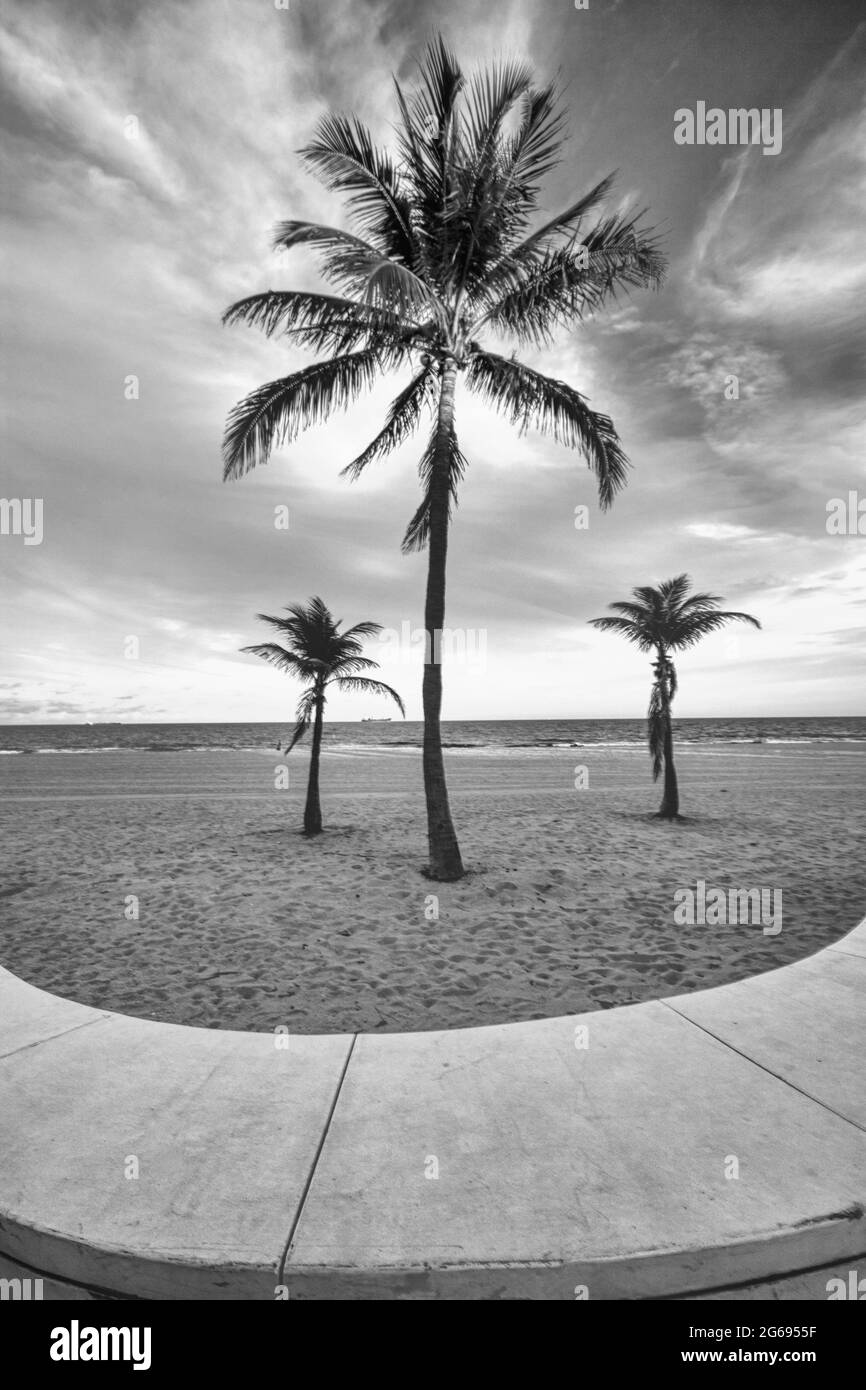 Beach fort lauderdale Black and White Stock Photos & Images Alamy