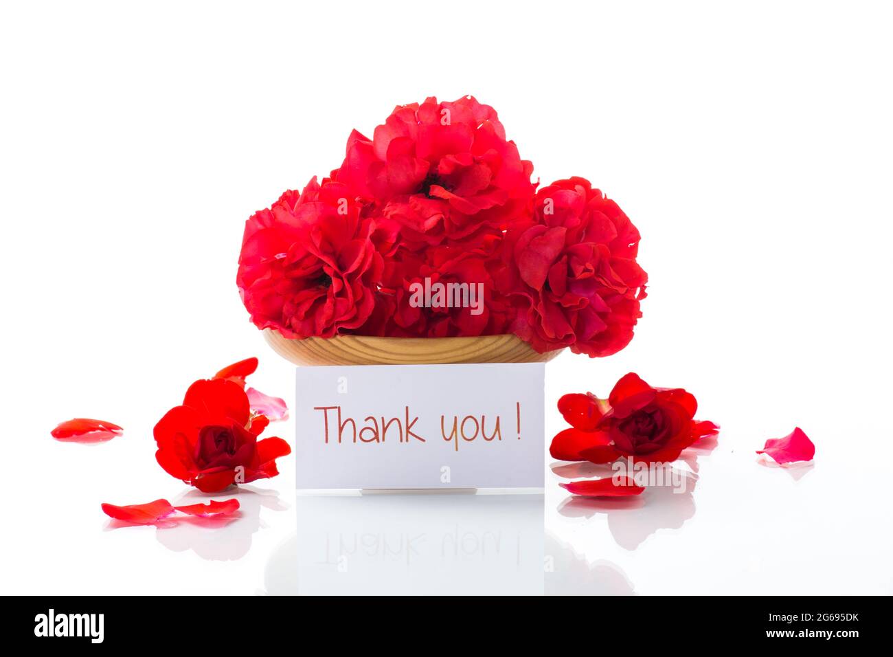 Beautiful red roses isolated hi-res stock photography and images - Alamy