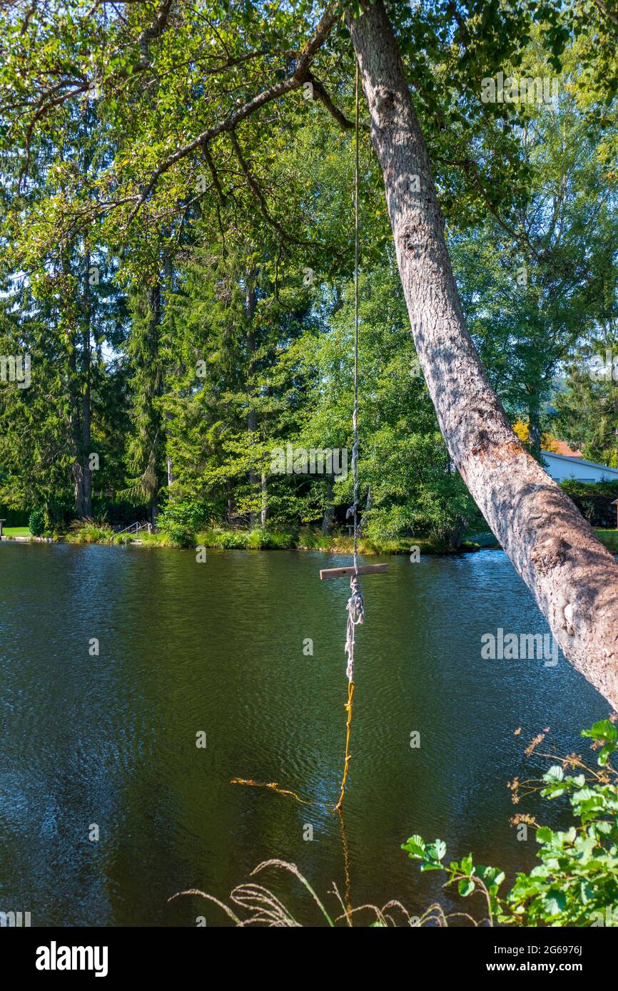 Seil zum ins Wasser springen an einem Baum am Sägmühlweiher Ludwigswinkel in der Pfalz Stock Photo