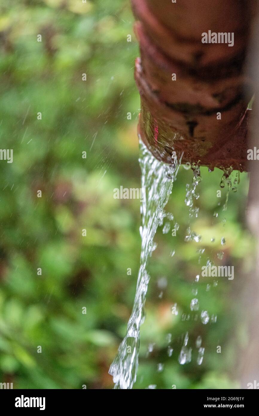 Heavy rain overflowing gutters Stock Photo Alamy