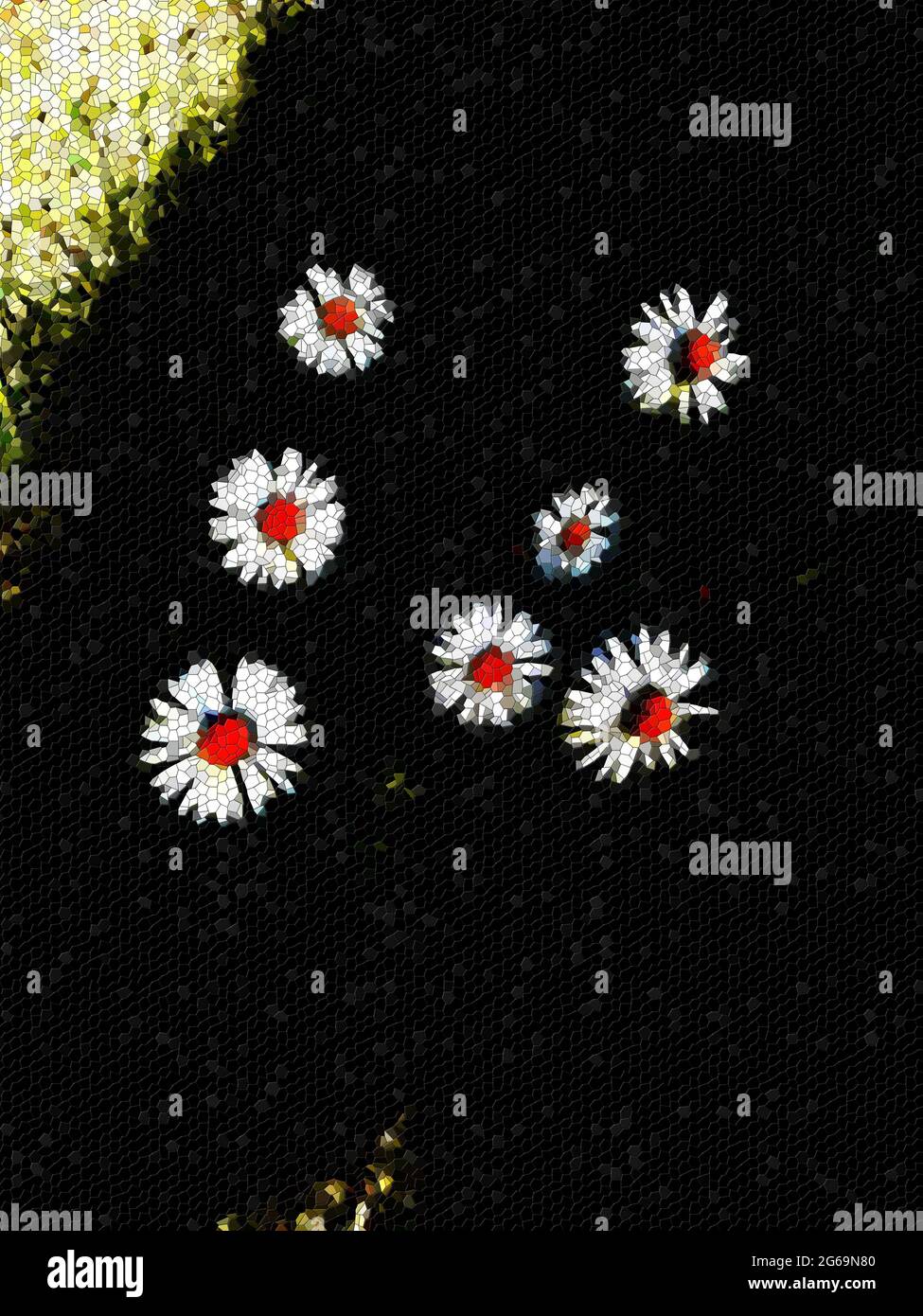 Mixed media photograph Daisies growing in a garden. Mosaic floral art countryside and wellbeing conversation. Daisies and country life mosaic. Stock Photo