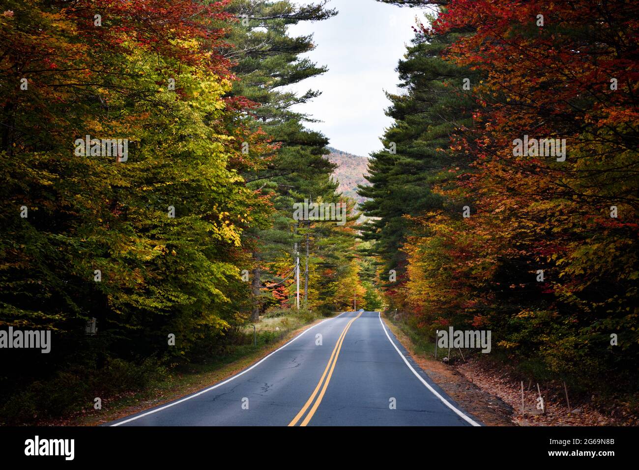 Massachusetts Fall Road High Resolution Stock Photography and Images ...