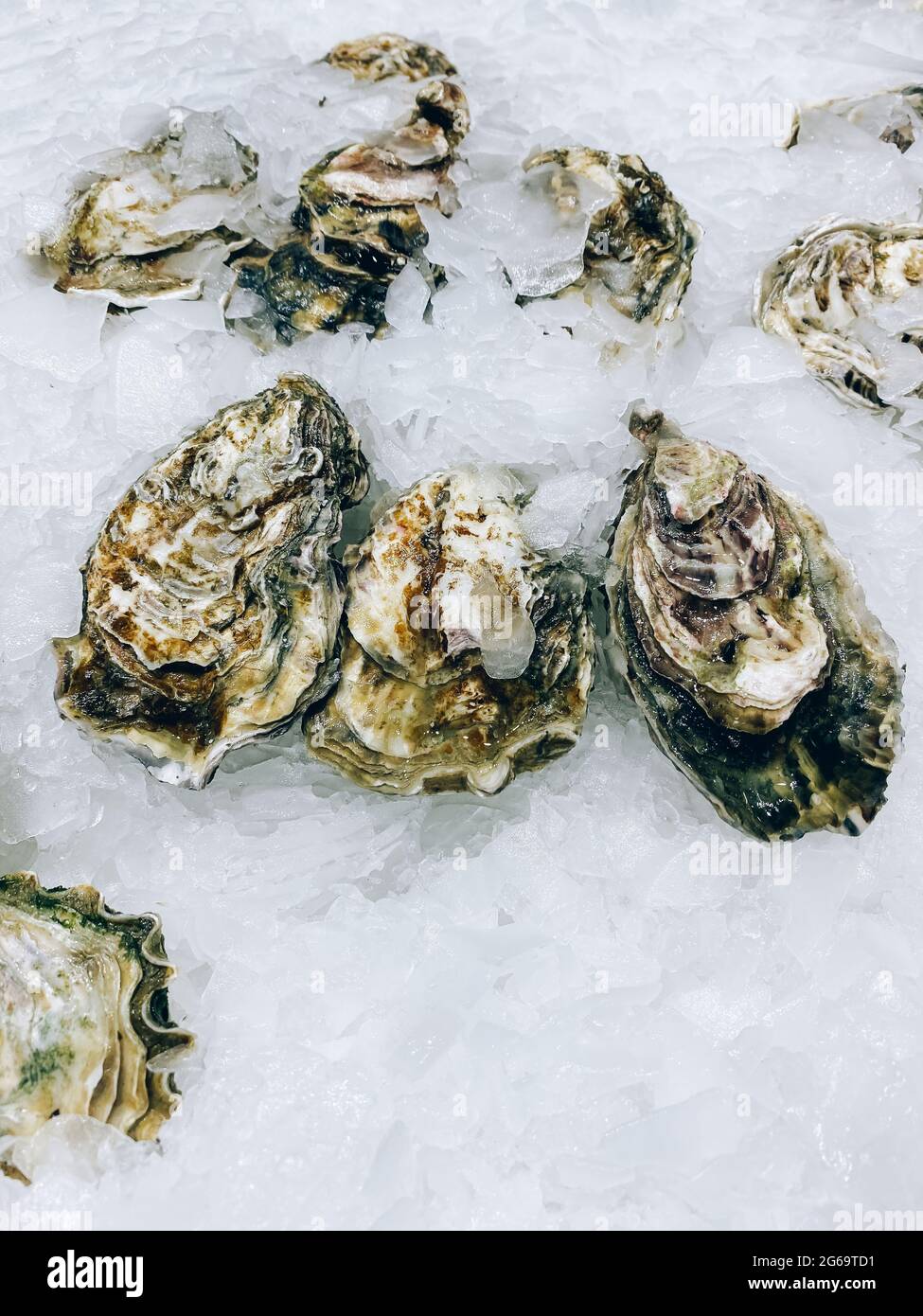 Display fresh oysters on ice hires stock photography and images Alamy