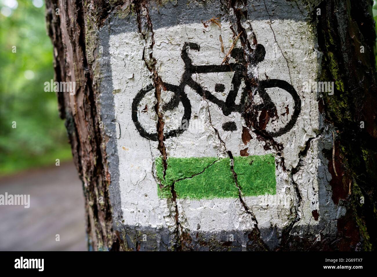Cycling trail sign in Kabacki forest Stock Photo