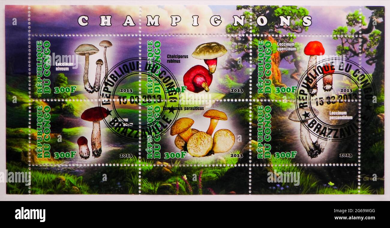 MOSCOW, RUSSIA - MARCH 28, 2020: Postage stamp printed in Congo from Mushrooms serie, circa 2013 Stock Photo