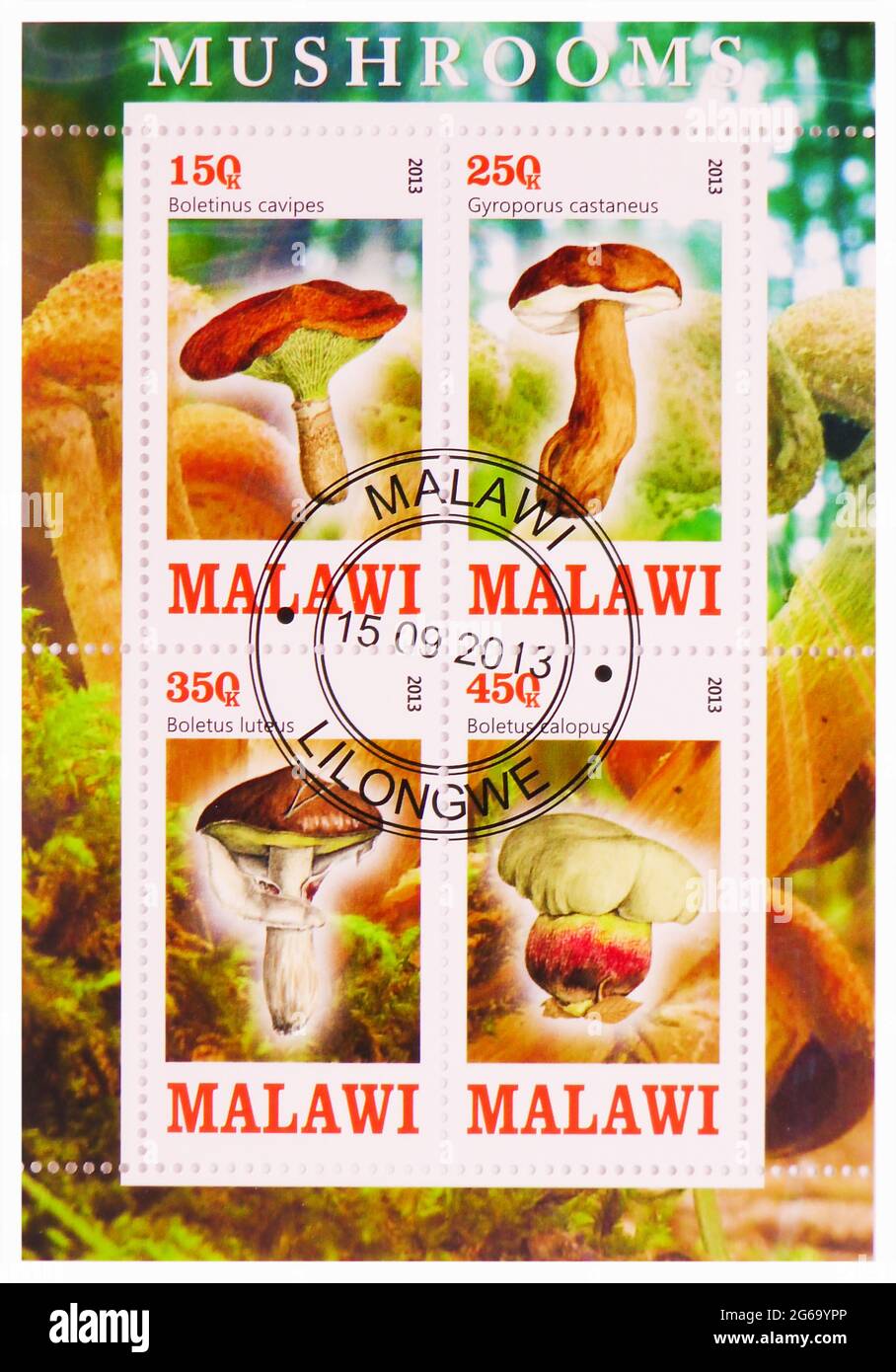 MOSCOW, RUSSIA - MARCH 28, 2020: Postage stamp printed in Malawi shows Mushrooms serie, circa 2013 Stock Photo