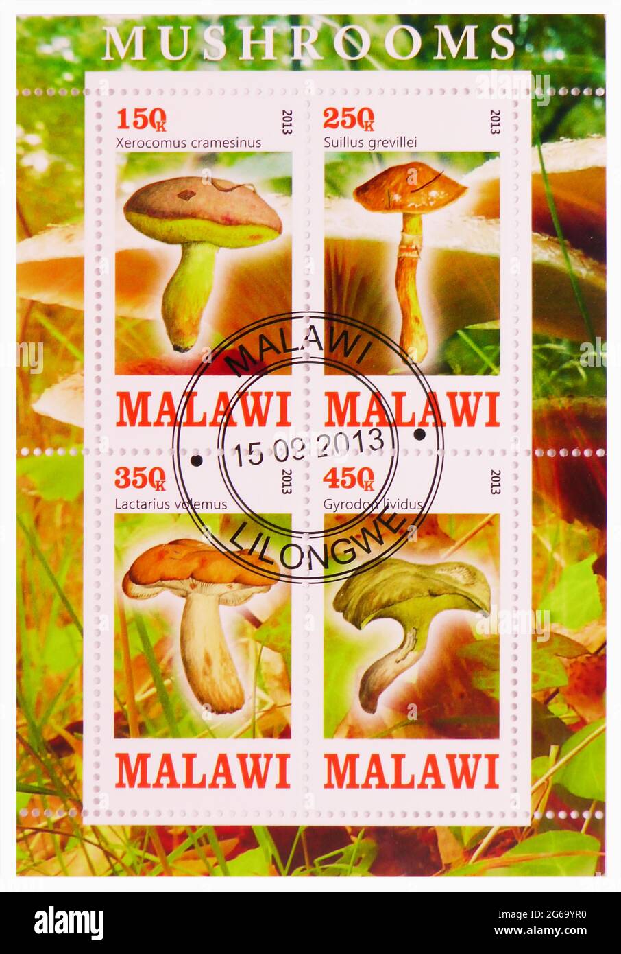 MOSCOW, RUSSIA - MARCH 28, 2020: Four postage stamps printed in Malawi shows , Mushrooms serie, circa 2013 Stock Photo