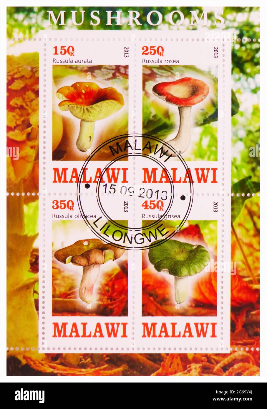 MOSCOW, RUSSIA - MARCH 28, 2020: Four postage stamps printed in Malawi shows Mushrooms serie, circa 2013 Stock Photo