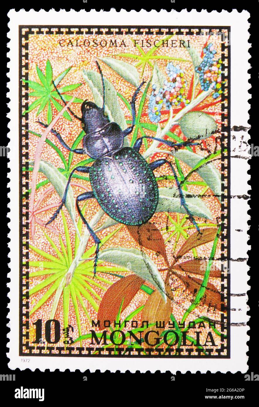 MOSCOW, RUSSIA - APRIL 18, 2020: Postage stamp printed in Mongolia shows Fischers Caterpillar Hunter (Calosoma fischeri), Bugs serie, circa 1972 Stock Photo