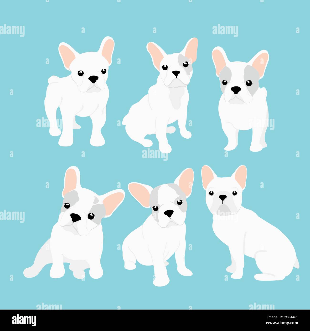 Vector illustrations set of cute little French bulldog in different positions. Funny happy puppy. French bulldog puppy collection in cartoon flat Stock Vector