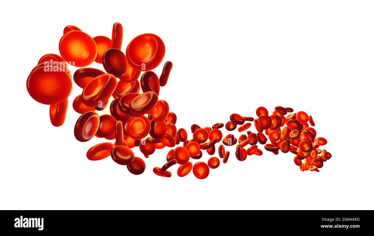 Group of red blood cells isolated on white. Blood cells (erythrocytes) carry oxygen to all body tissues. Stock Photo