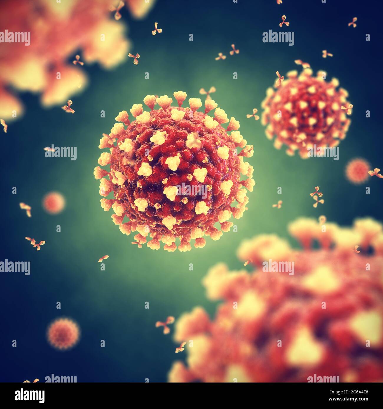 The Coronavirus is a highly contagious virus that causes severe acute respiratory syndrom. The COVID-19 global pandemic is caused by the SARS CoV-2. Stock Photo