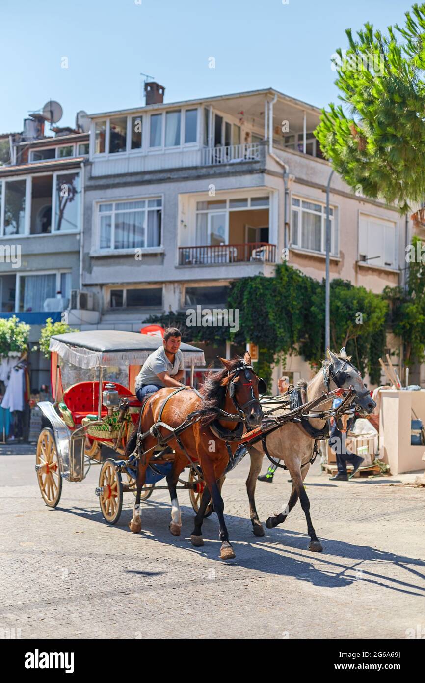 Turkey Vehicle Ride Horse carriages. Walking in a cart through the streets of Buyukada ...