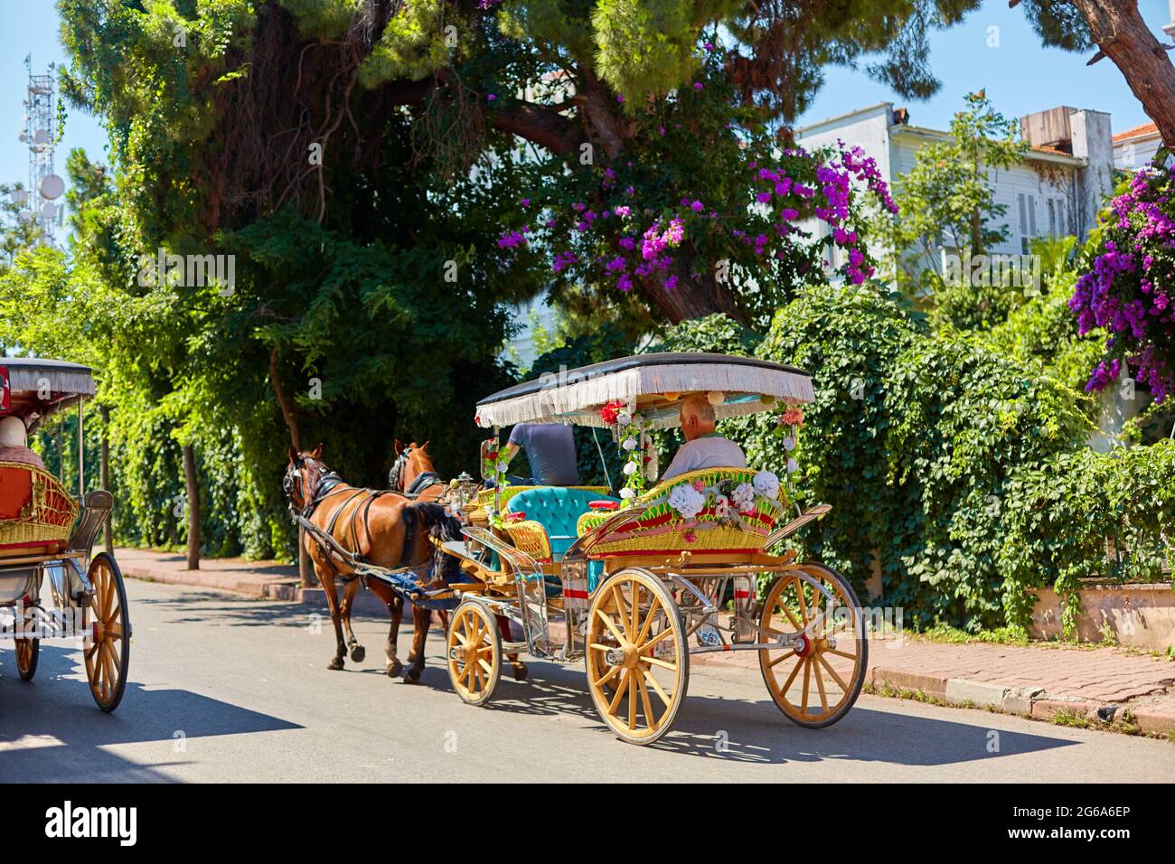 Turkey Vehicle Ride Horse drawn carriages turkey hi-res stock photography and images - Alamy