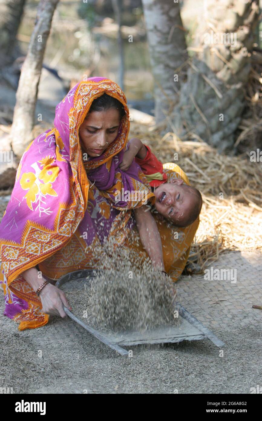 A woman winnowing damp paddy in Kakchira, Borguna, Bangladesh. Many houses were destroyed by tidal wave on the night of 15th November as cyclone SIDR smashes the coastal areas causing huge damage to lives and properties. In Kakchira, 300 people died and 300 more are missing by the massive hit of the cyclone. November 23, 2007. Stock Photo