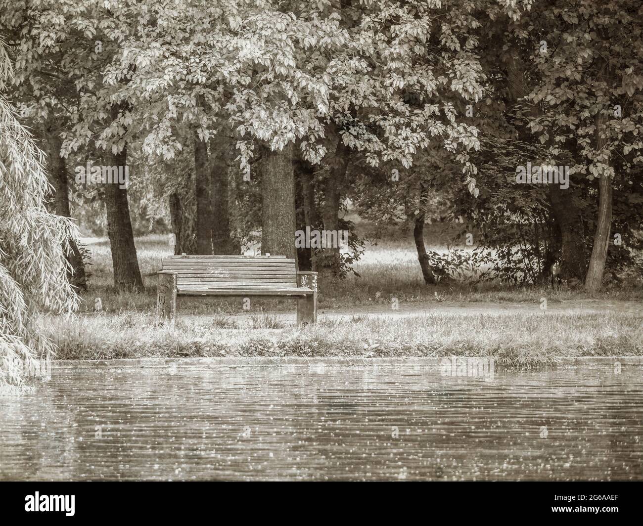 Picture of bench at a park hi-res stock photography and images - Alamy