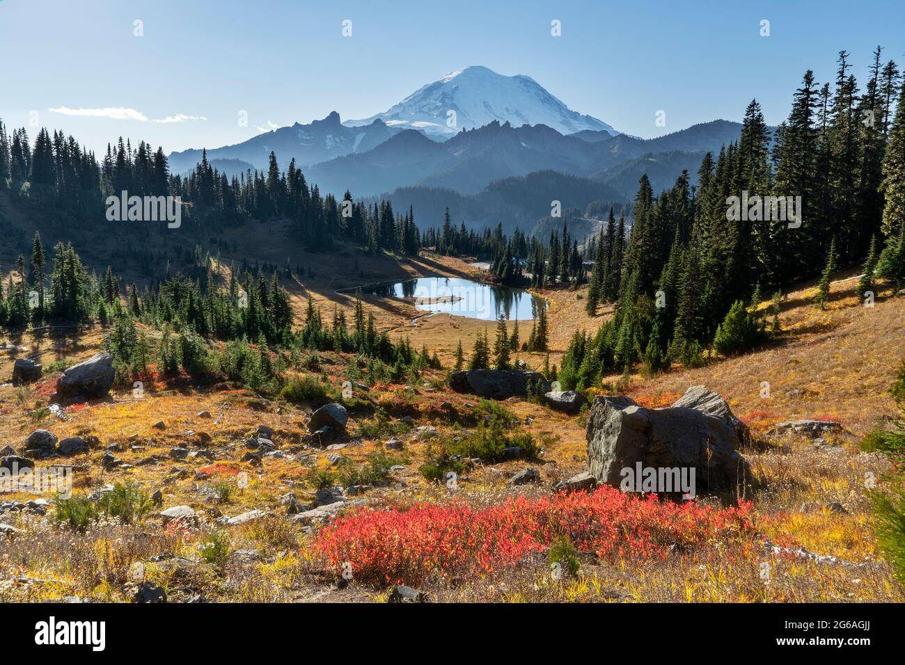 Autumn In The Chinook Pass Area of Rainier National Park Stock Photo
