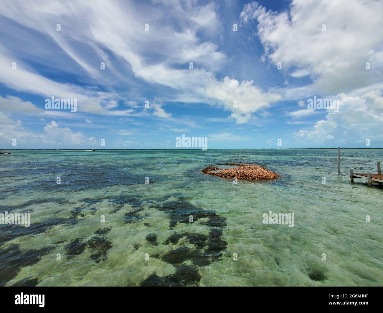 Discarded shells of queen conch - Strombus gigas - form small island in North Bimini, Bahamas. Stock Photo