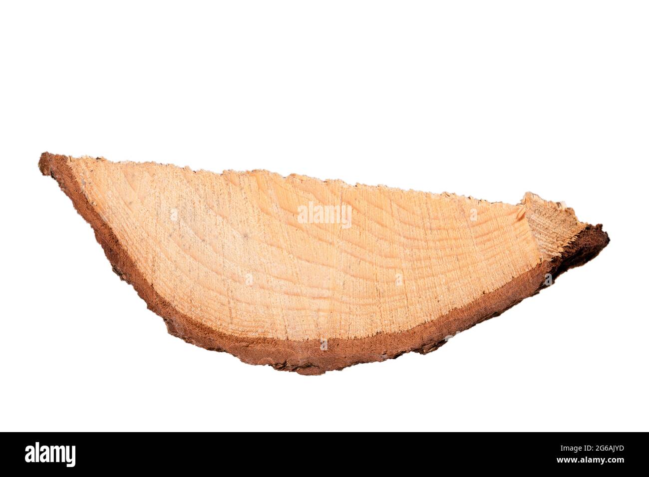 Piece of coniferous wood with visible bark. Material for the manufacture of furniture. Isolated background. Stock Photo