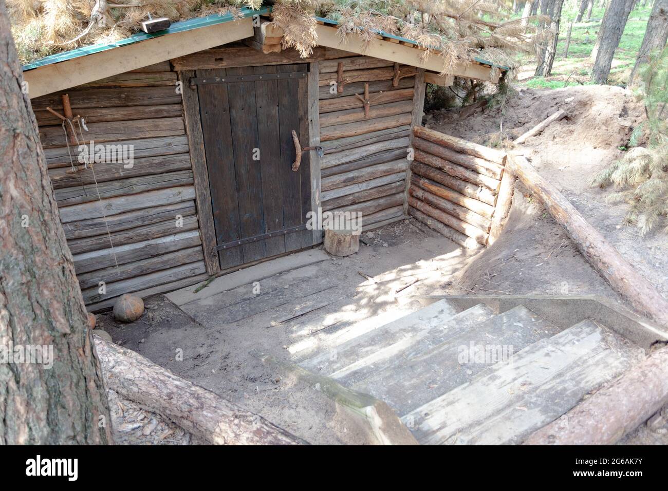 entrance to the dugout, dugout in the summer forest Stock Photo