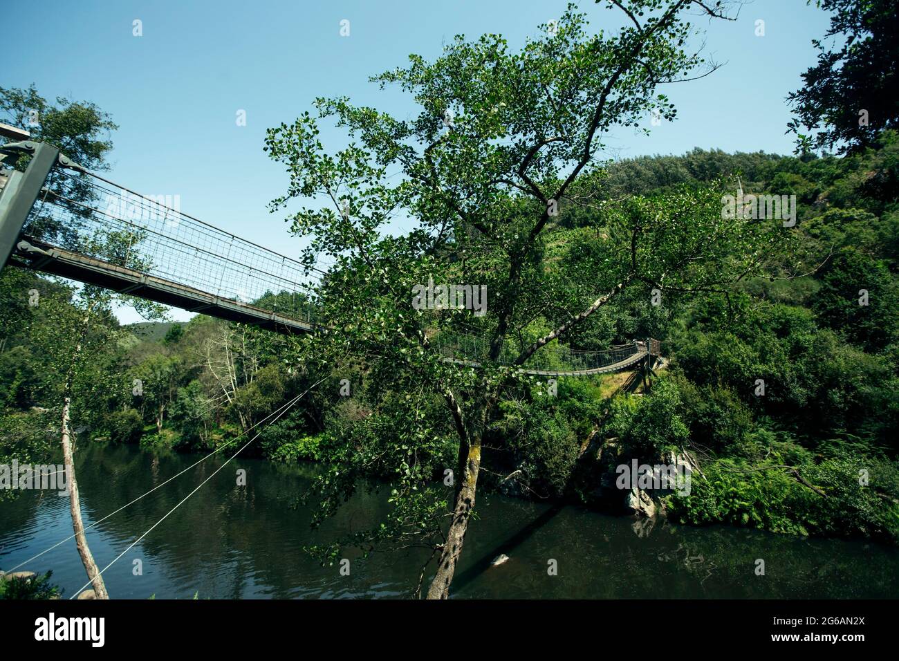 A suspension bridge over a small river in the forest. Stock Photo