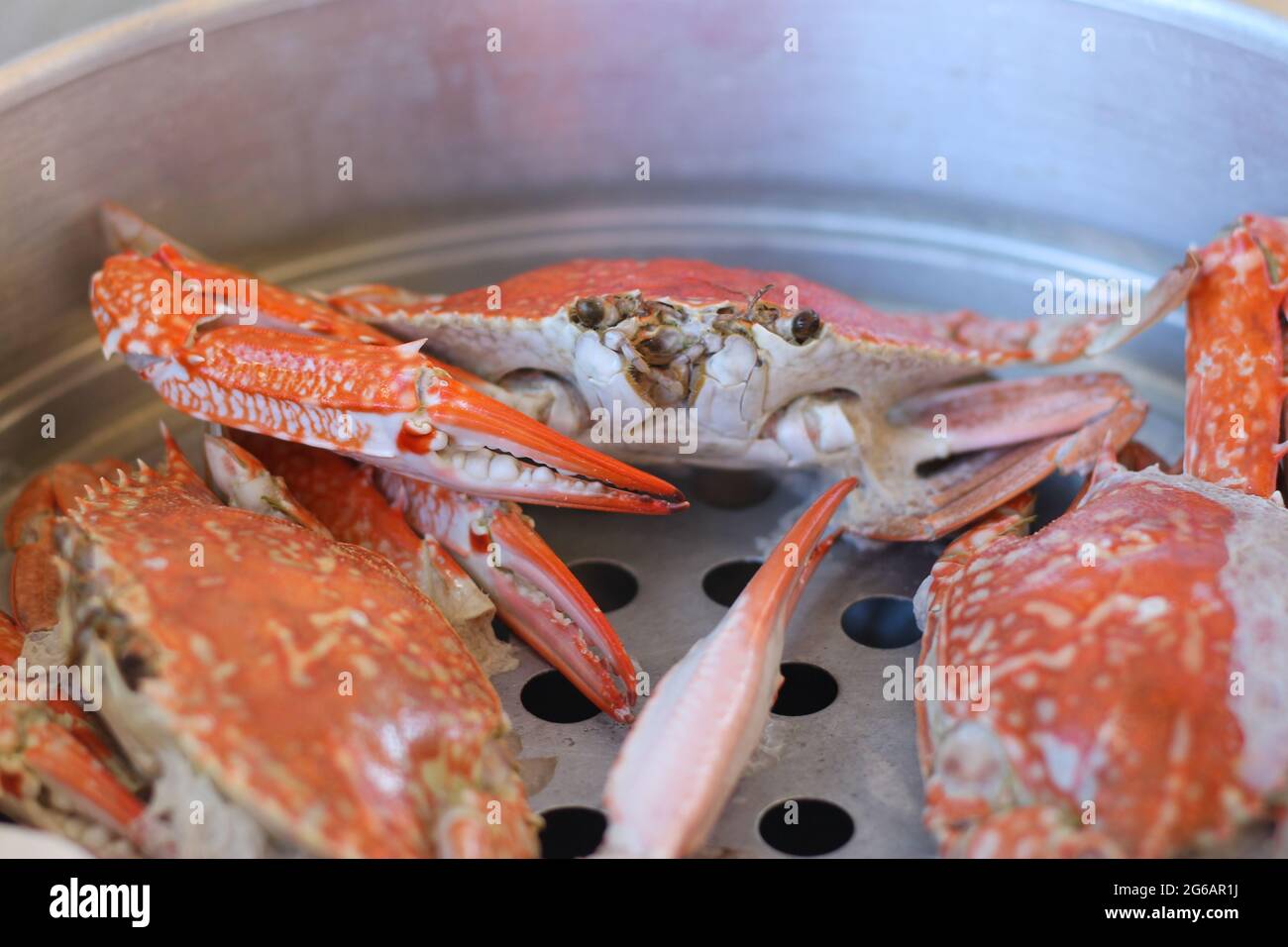Steamed crabs focus on their large claws. Crab is a popular seafood that is steamed and cooked to eat. Stock Photo