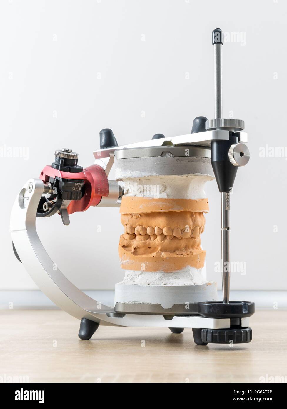 dental articulator with dental gypsum prosthesis model in dental