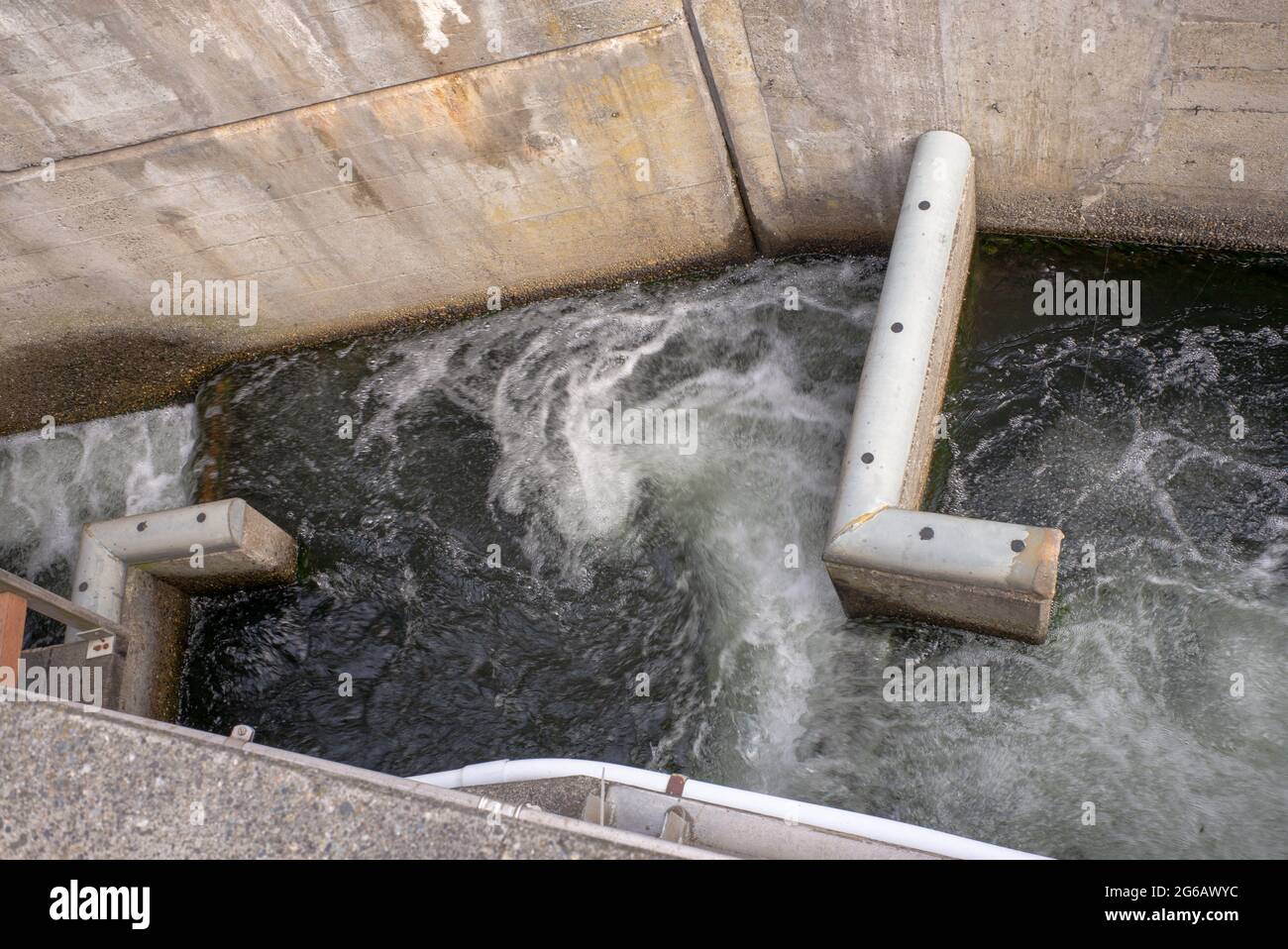 Looking down at the salmon ladder at the Ballard Hiram M. Chittenden