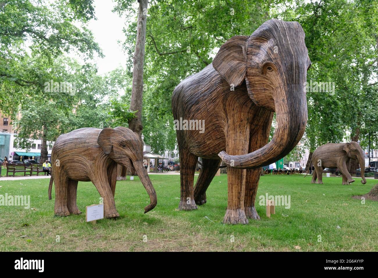 A herd of elephants are displayed in the green surroundings of Berkerley Square as part of an environmental campaign to highlight animal extinction. Stock Photo