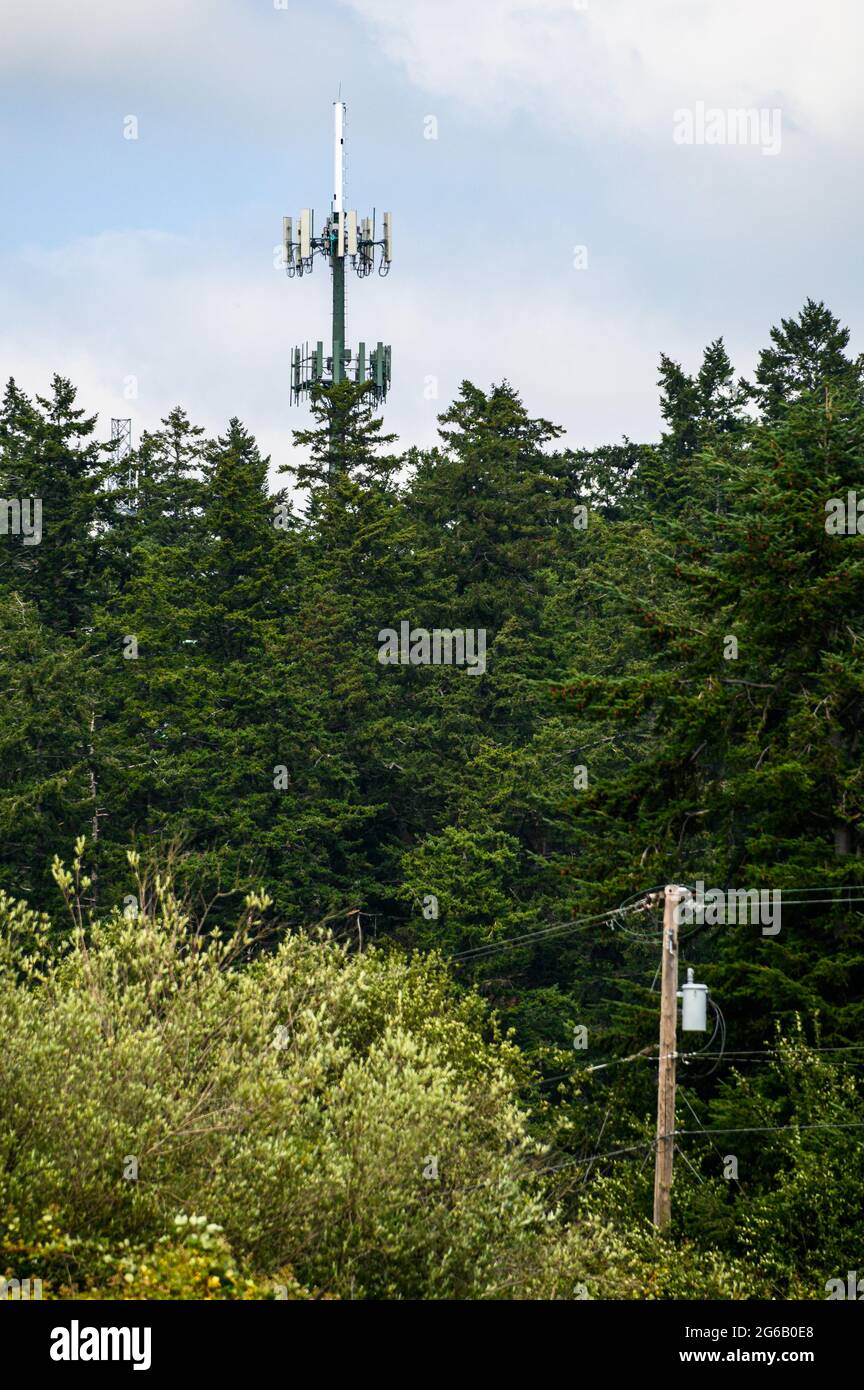 Mobile communications tower with antennas on top, showing above a ...