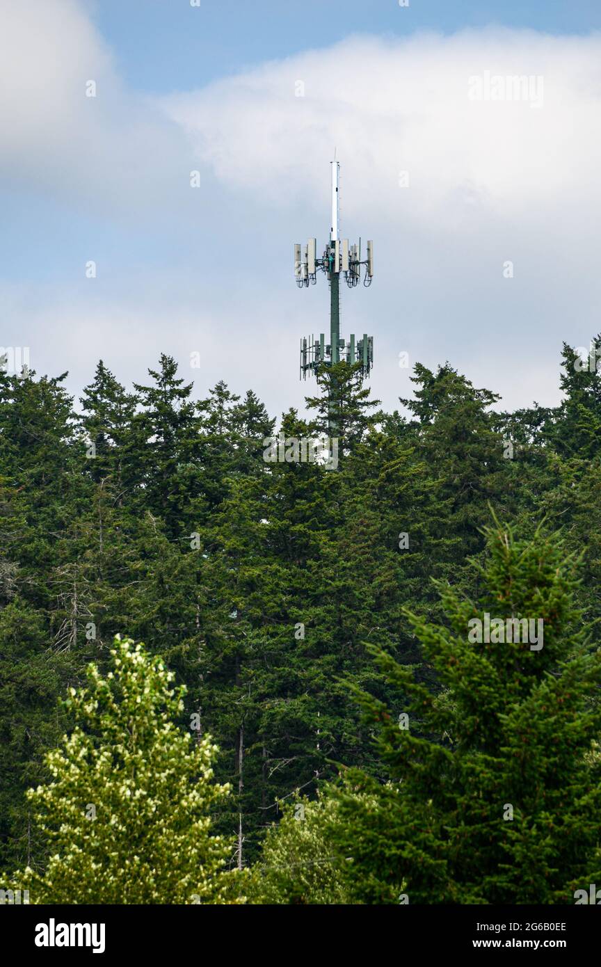 Mobile communications tower with antennas on top, showing above a ...