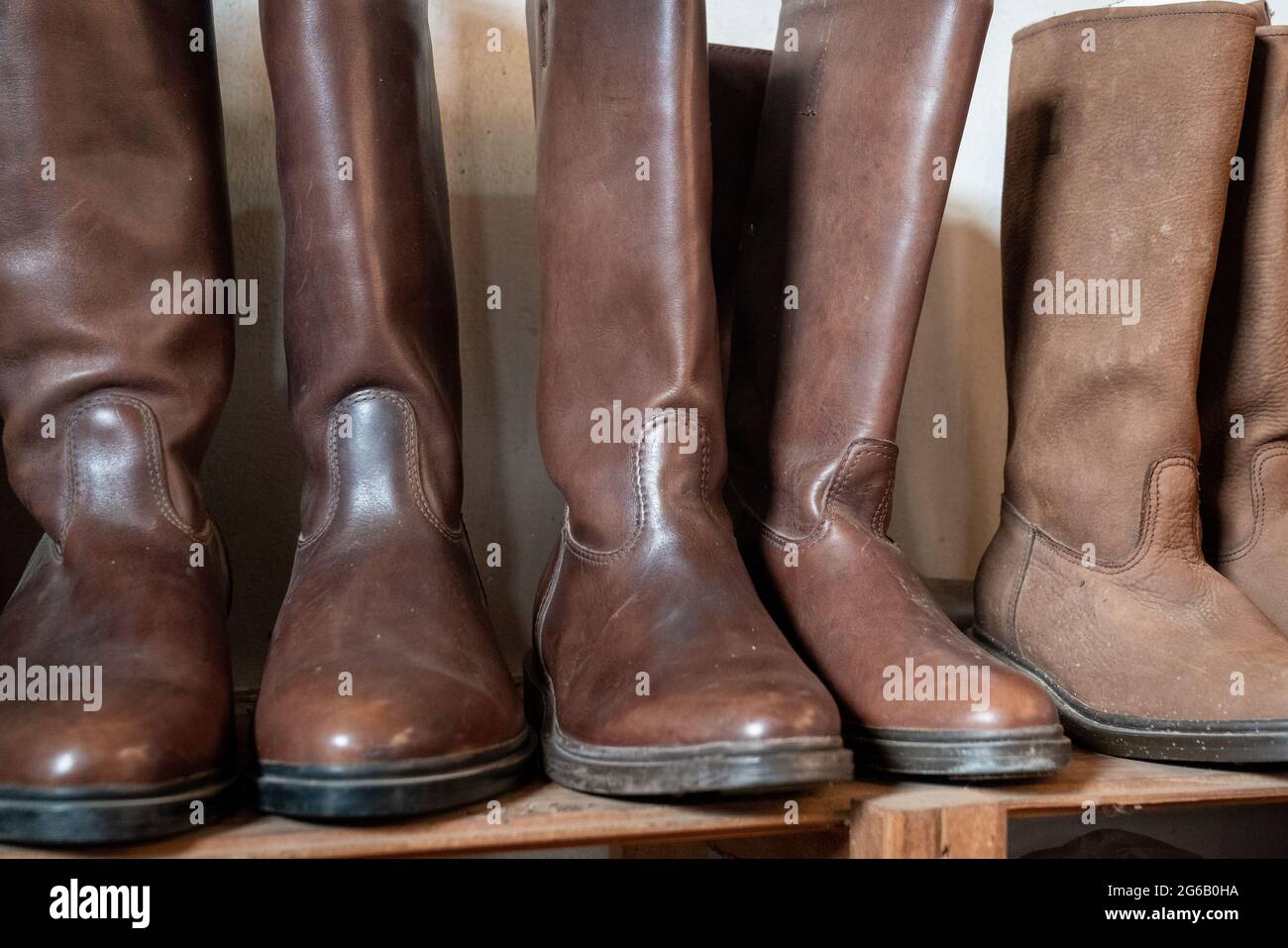 display of gaucho boots of various models and colors Stock Photo - Alamy