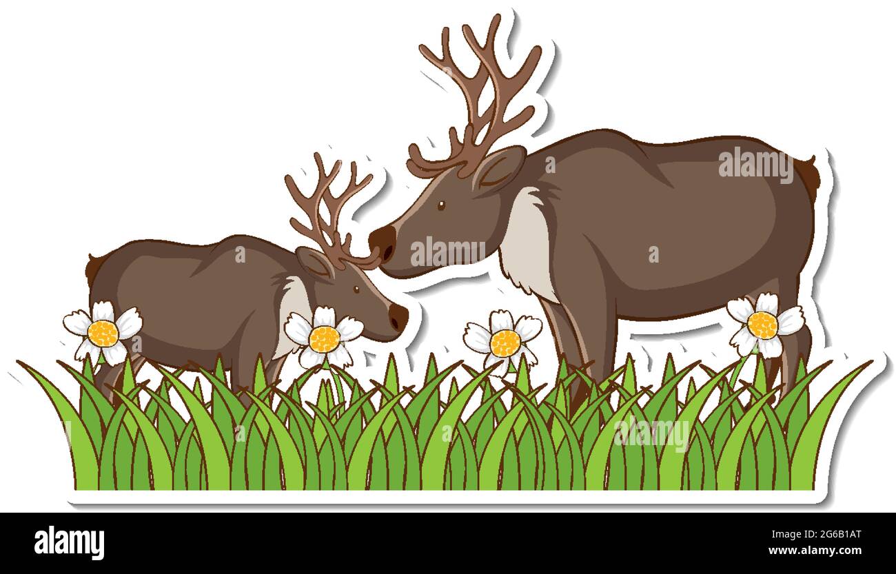 Two moose standing in grass field sticker illustration Stock Vector