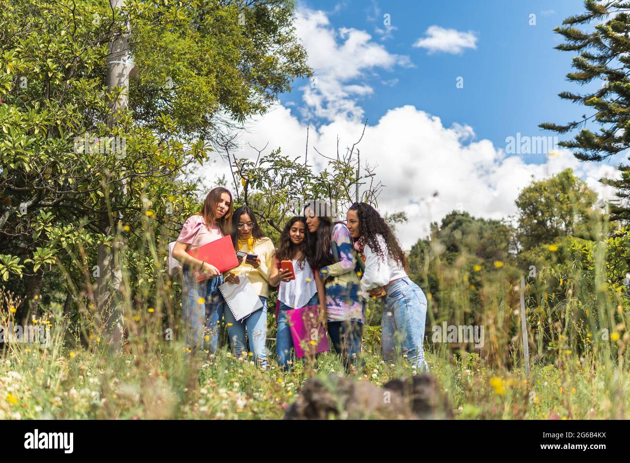 group of latin teen girls students in a flower field checking a cell phone Stock Photo