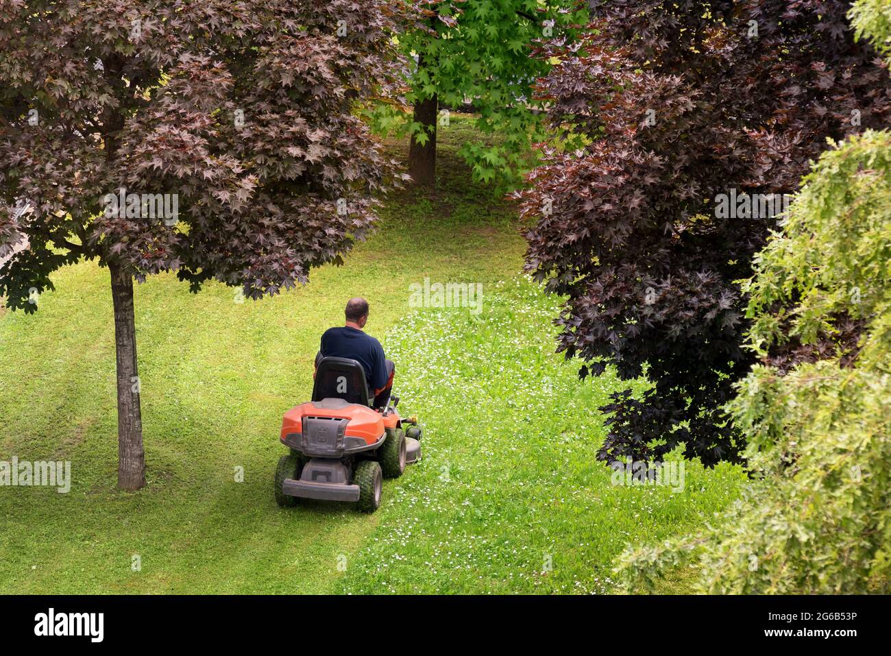 High angle view of a man using a ride-on mower to cut the grass in his back yard viewed between leafy green trees in spring or summer Stock Photo
